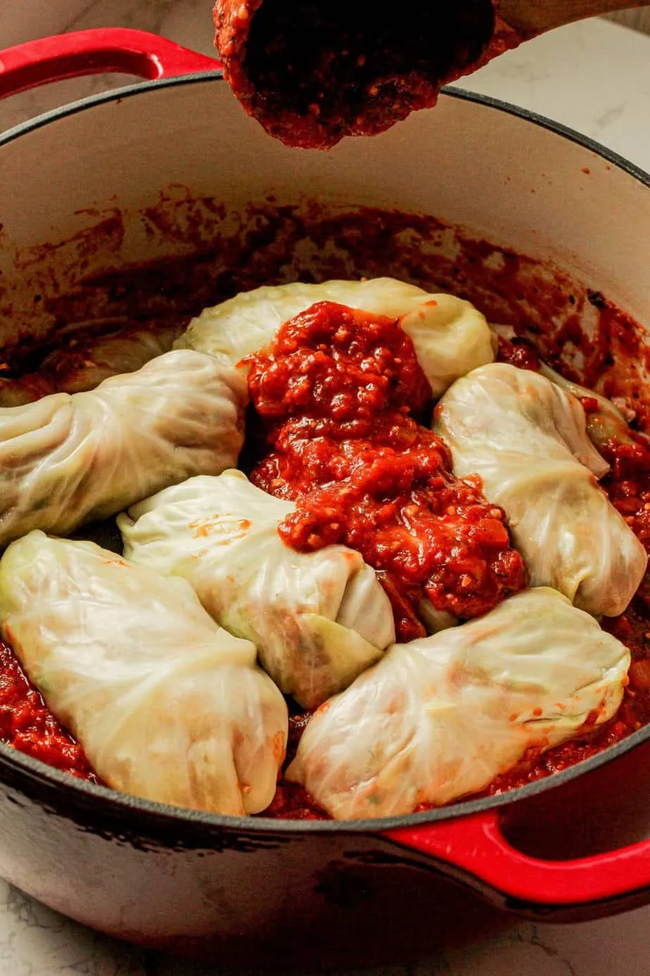 prepared stuffed cabbage rolls layered in a Dutch oven topped with sauce